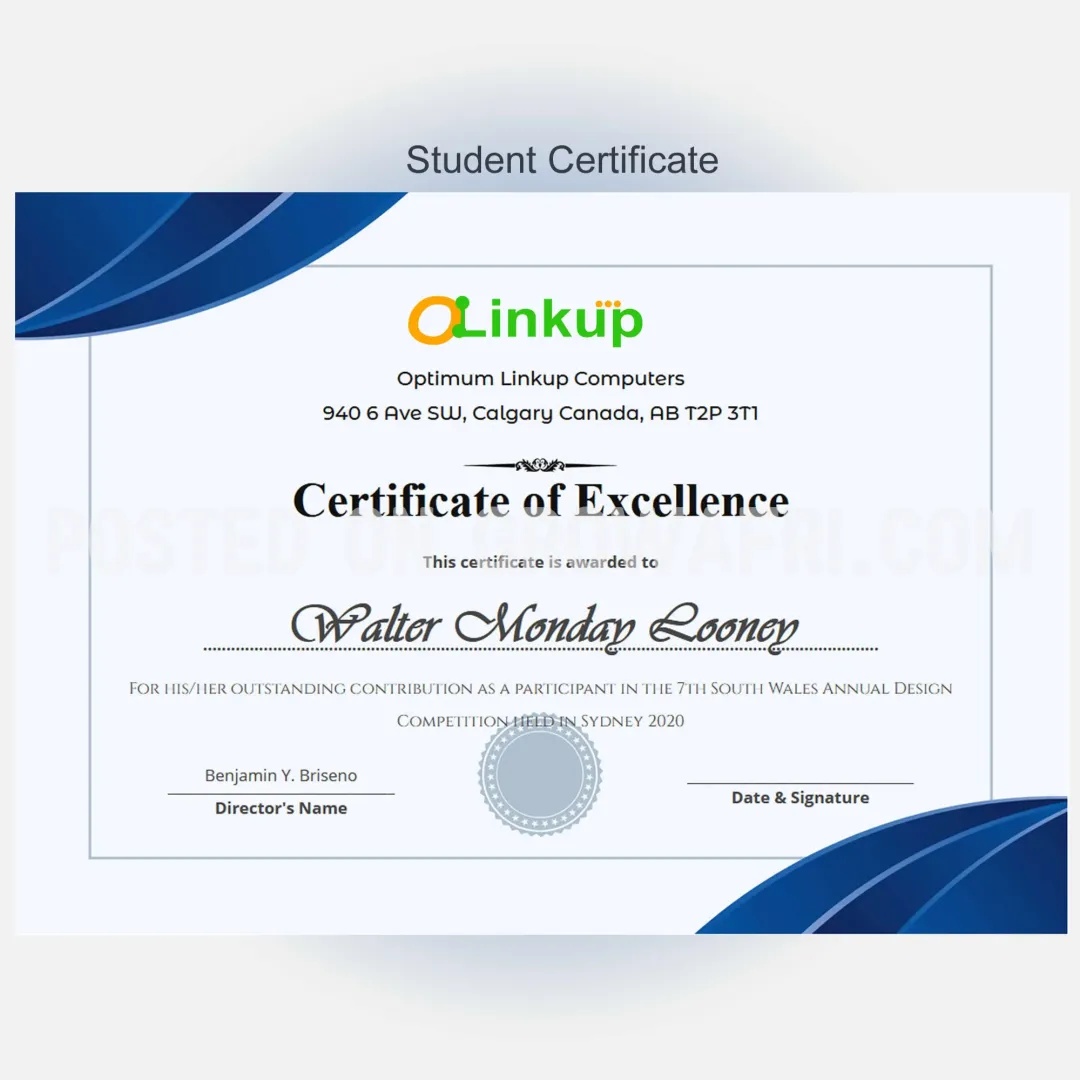 We will build any kind of software for your company