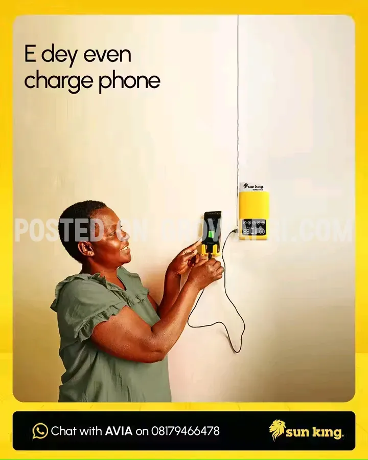 Sun king solar system and inverter 