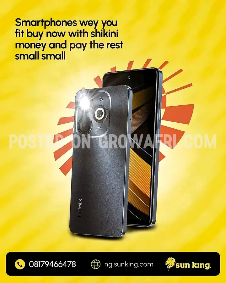 Sun king solar system and inverter 