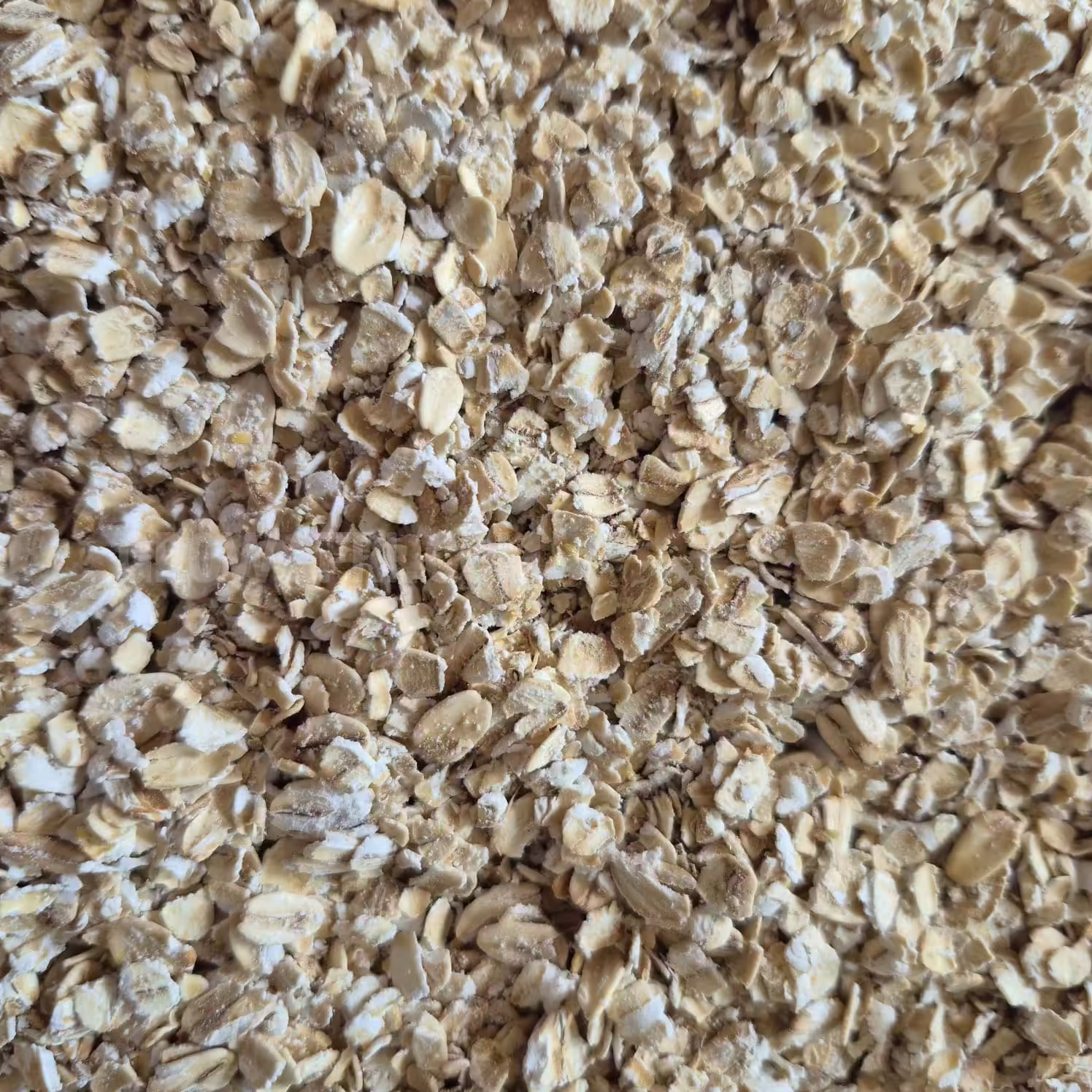 Canadian Rolled Oats